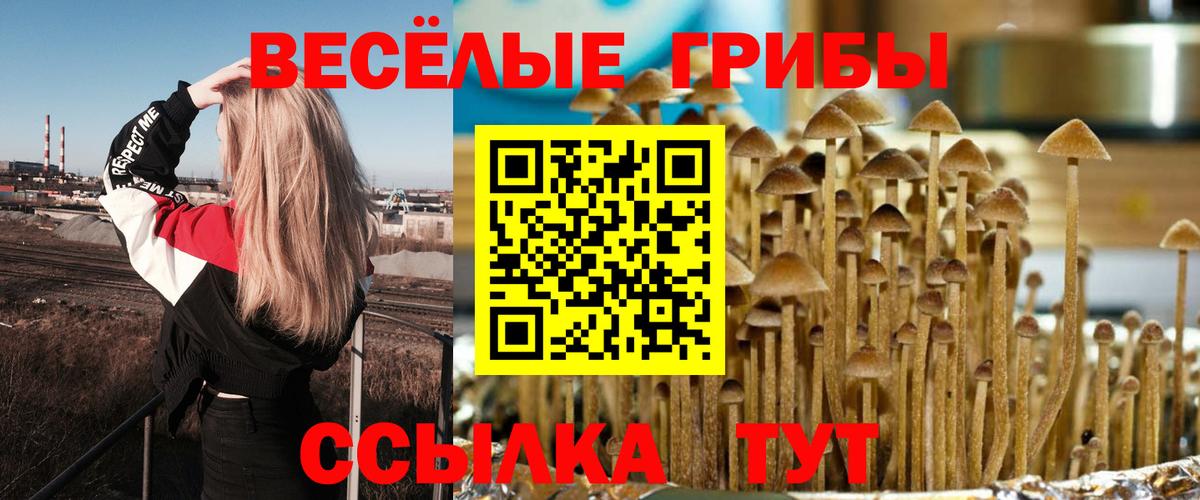 цены наркотик  Псилоцибиновые грибы Magic Shrooms  Вход с VPN  Кулебаки 
